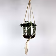 Macrame Plant Hanger | Brown Rope - Bloombox Club