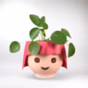 Set: Playmobil Head Pot with Money Plant | Best Plants for Kids - Bloombox Club